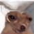 :iconrainkitti200: