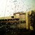 :iconrainninglove0001: