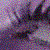 :iconrainnxxxxx: