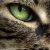 :iconrains-fallen-angel: