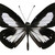 :iconrainthatfall: