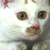 :iconrainworm: