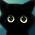 :iconrainyave:
