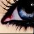 :iconrainybear: