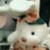 :iconrainyrx: