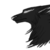 :iconraisntrinerr: