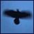 :iconRaivenn: