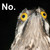 :iconraiyen87: