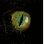:iconraizablaze: