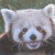 :iconraizdoe: