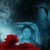 :iconrajeshshrestha1: