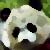 :iconrakedi: