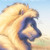 :iconrakeesh-twl: