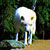 :iconraksha-mcwolf: