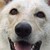 Raksha-the-Demon :iconraksha-the-demon: