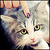 :iconraligirl98: