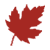 :iconralproject: