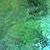 :iconram-am-i: