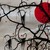 :iconramen-eatingvamp13: