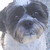 :iconramen23996: