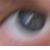 :iconramenbandit09:
