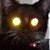 :iconRamenHokage:
