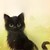 :iconramennoodlekitty: