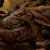 :iconramgang: