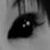 :iconrammie: