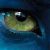 :iconrammy-fox: