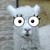 :iconramsay1: