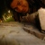 :iconramsesweb: