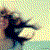:iconramuse: