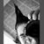 :iconranczandras: