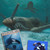 :iconrandall-scott: