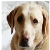 :iconrandalldefined:
