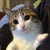 :iconrandallhm: