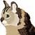 :iconrandom--one: