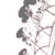 :iconrandom--pistachio: