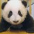 :iconrandom-artist1: