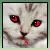 random-friends-club :iconrandom-friends-club: