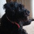 :iconrandom-lexis: