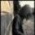 :iconrandom-loser95: