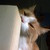 :iconrandom-shoes: