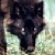 :iconrandomaddiction: