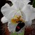 :iconrandomblathering: