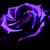 :iconrandomchick2092: