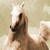 :iconrandomcorruption: