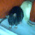 :iconrandomdude16: