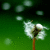 :iconrandomfreakygirl: